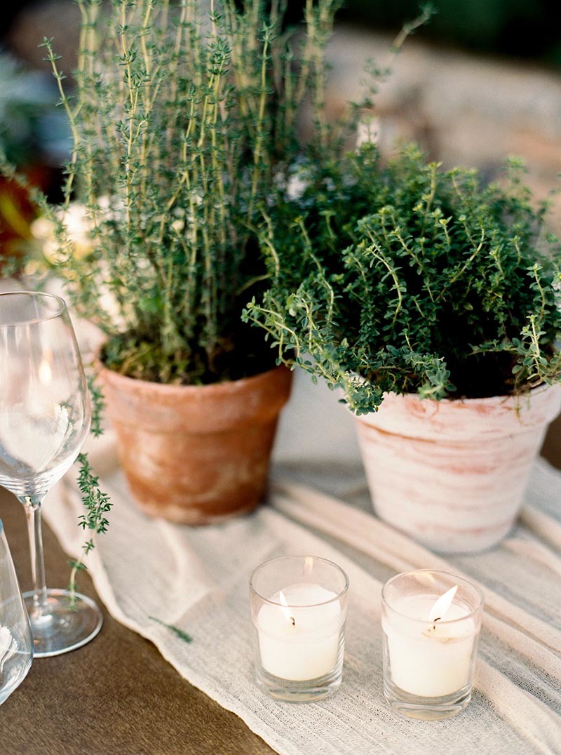 Plants, the Perfect Alternative to Flowers for Your Wedding Décor ...